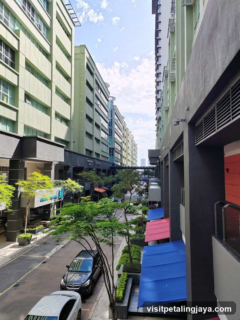 Urban Street View with Shops and Buildings