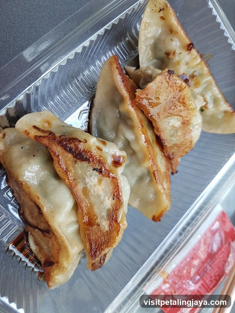 Gyoza in container