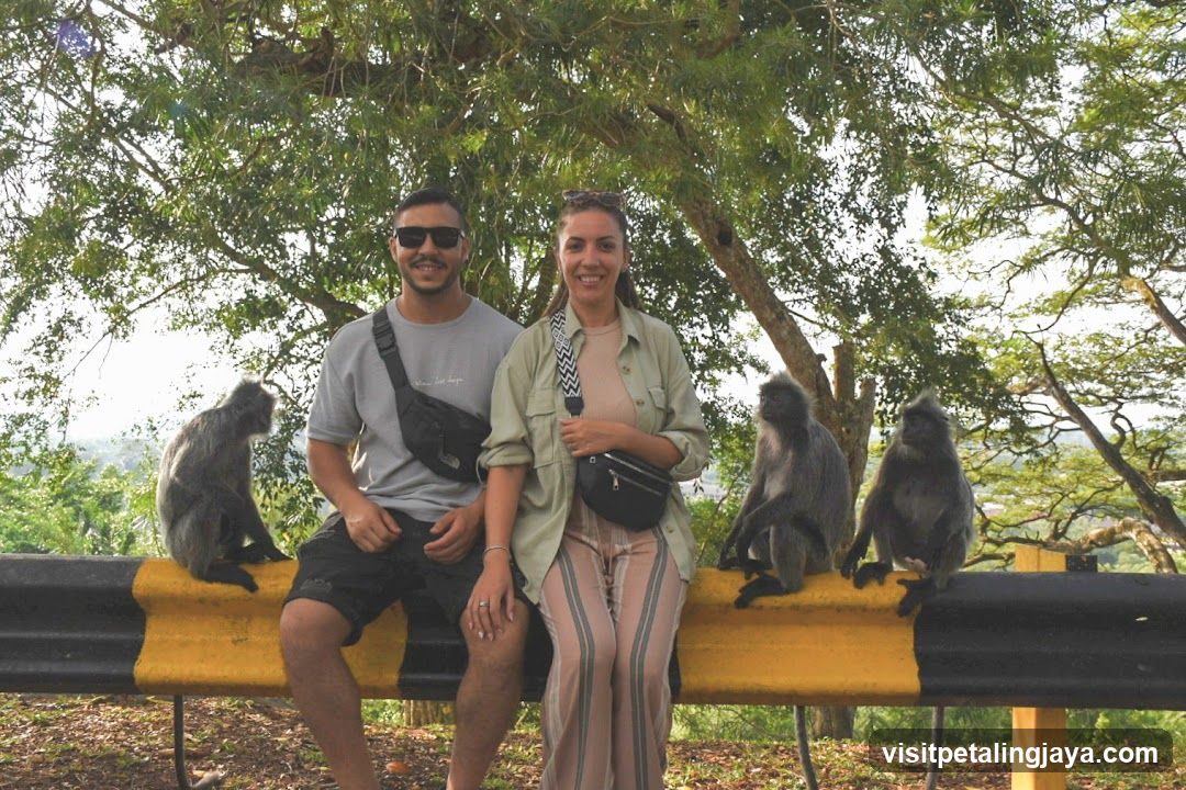 Couple with Monkeys on Guardrail