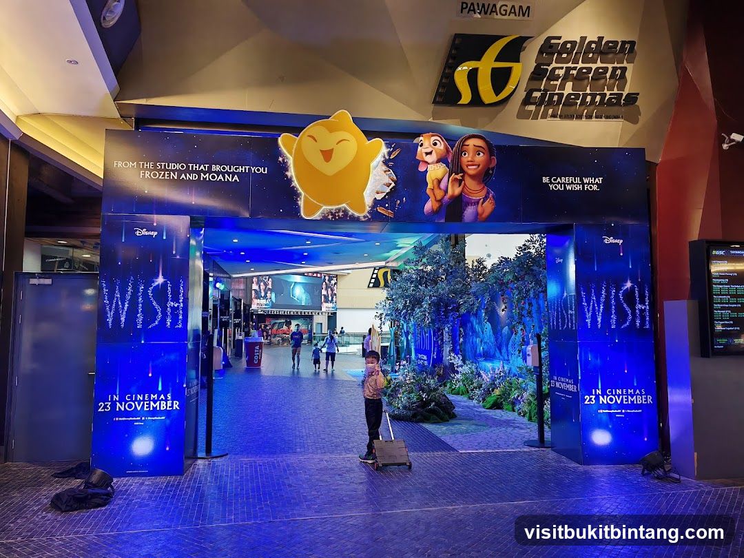 Disney's Wish Movie Promotion