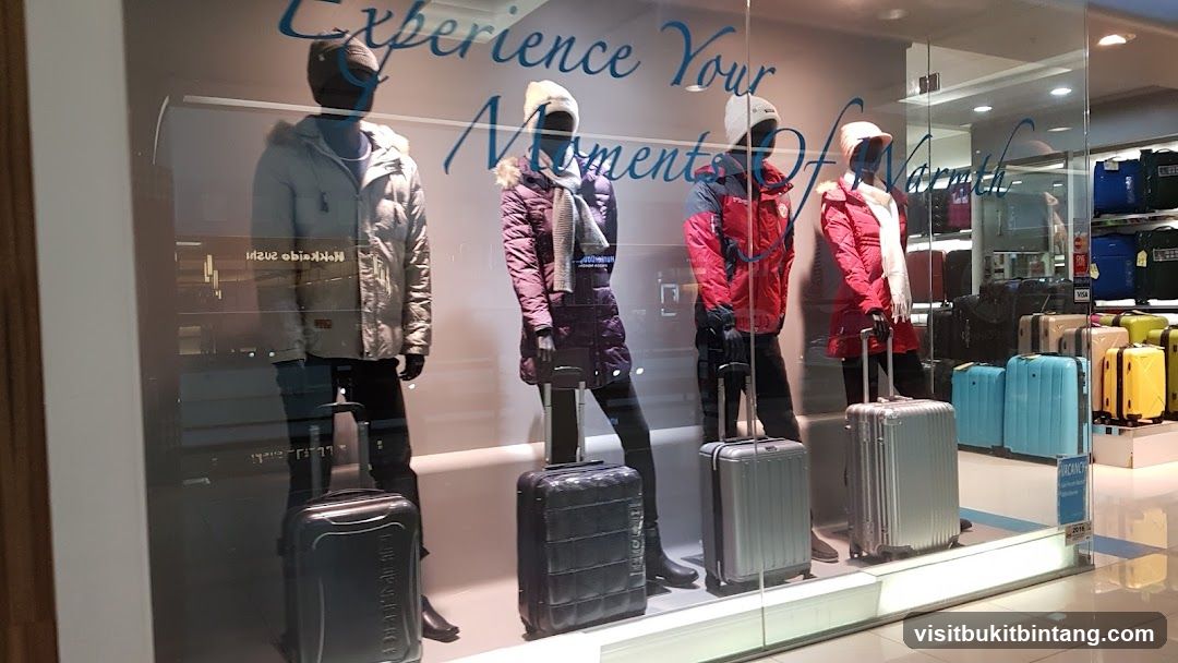 Window Display of Winter Clothing and Luggage