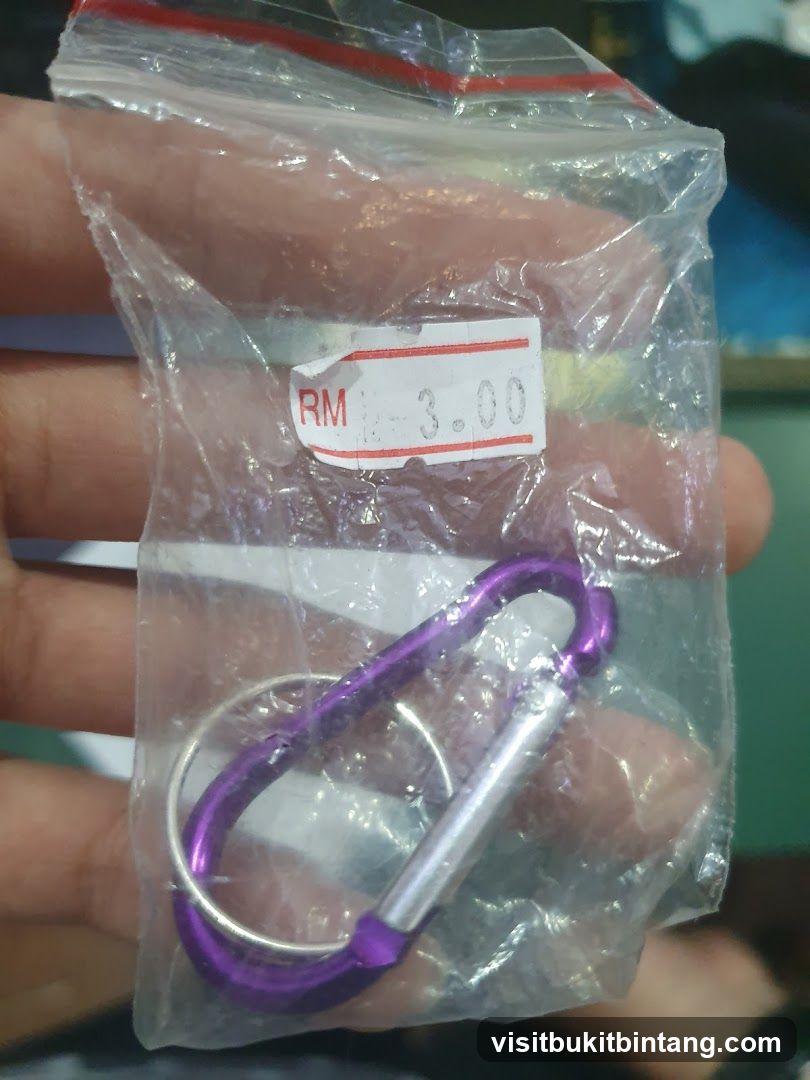 Carabiner Keychain