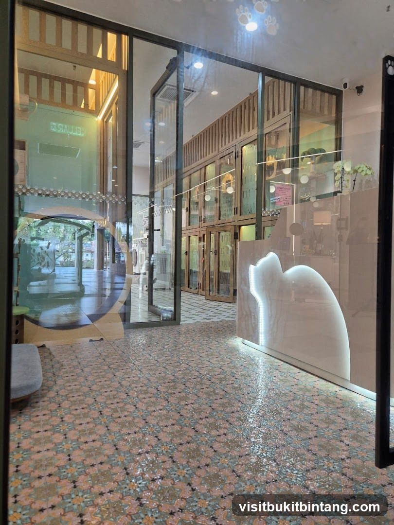 Interior of a Pet Hotel or Boarding Facility
