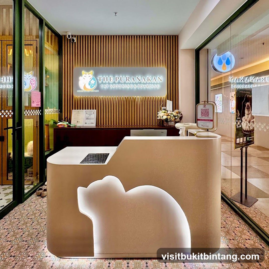 Cat Grooming and Boarding Reception