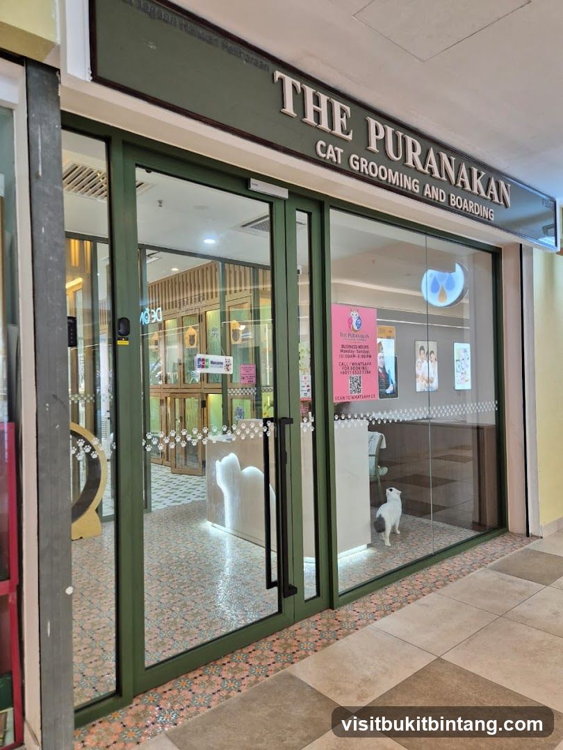 THE PURANAKAN CAT GROOMING & BOARDING