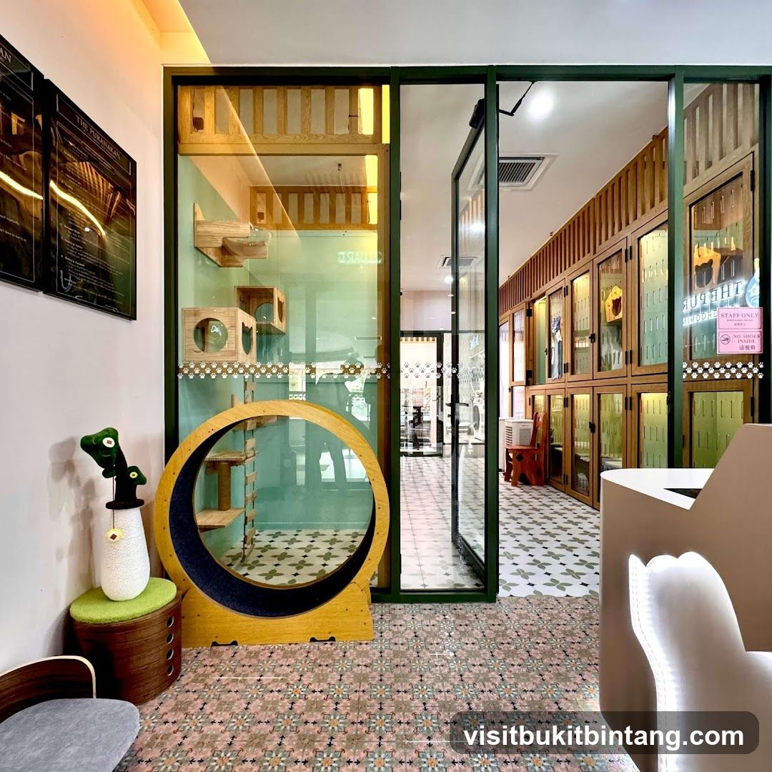 Cat Hotel Interior