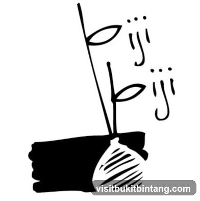 Biji-biji Initiative