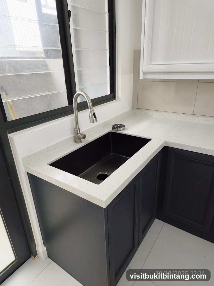 Kitchen Sink Area