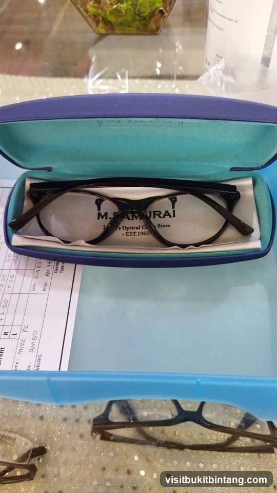 Eyeglasses in Case