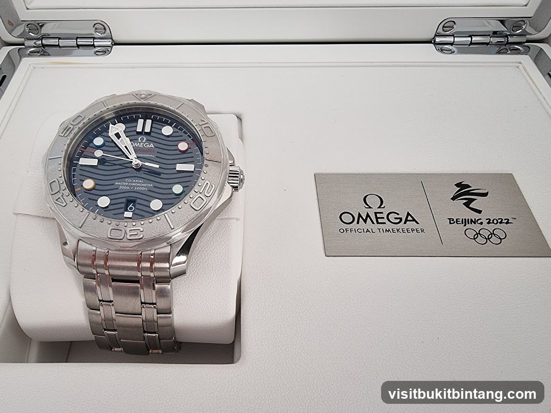 Omega Seamaster Watch