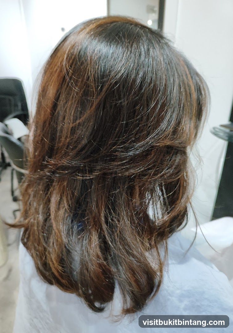 Woman's Hair with Highlights