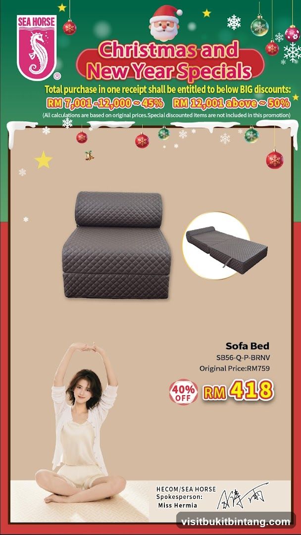 Christmas and New Year Specials