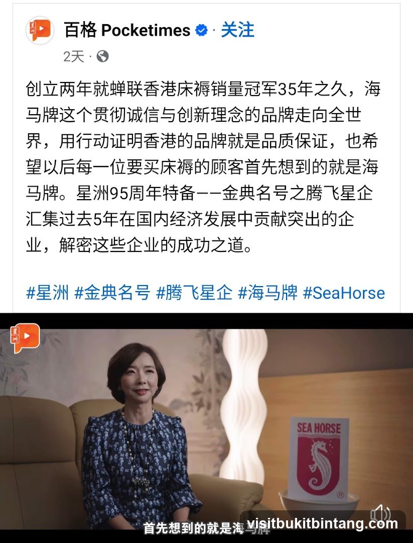 Sea Horse Brand Promotion