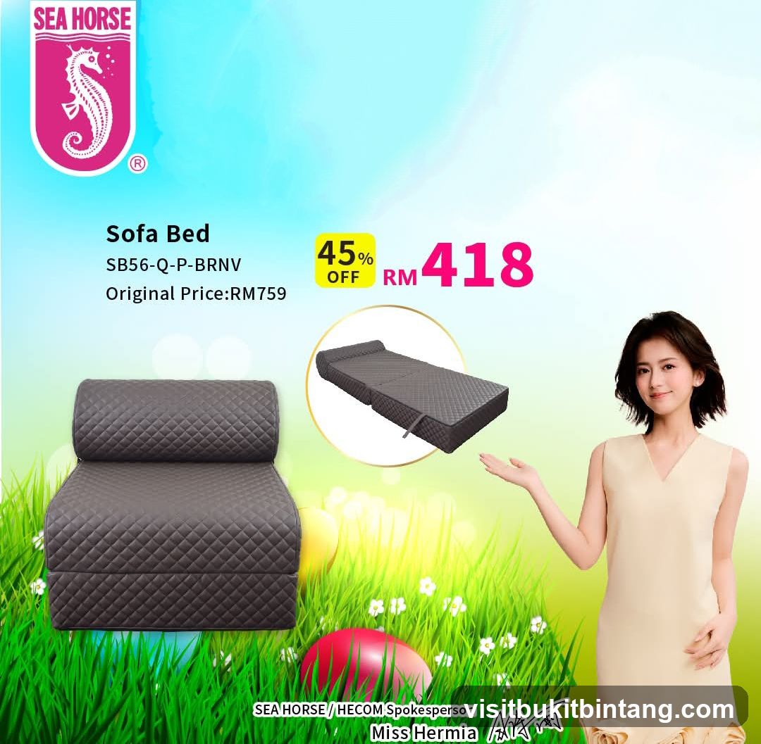 Sofa Bed Advertisement
