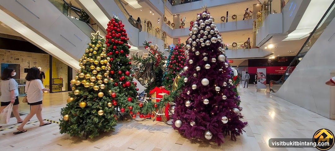 Christmas Trees in a Mall