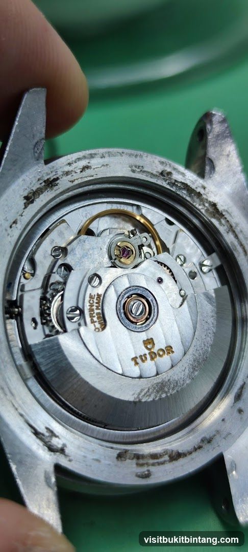 Tudor Watch Movement
