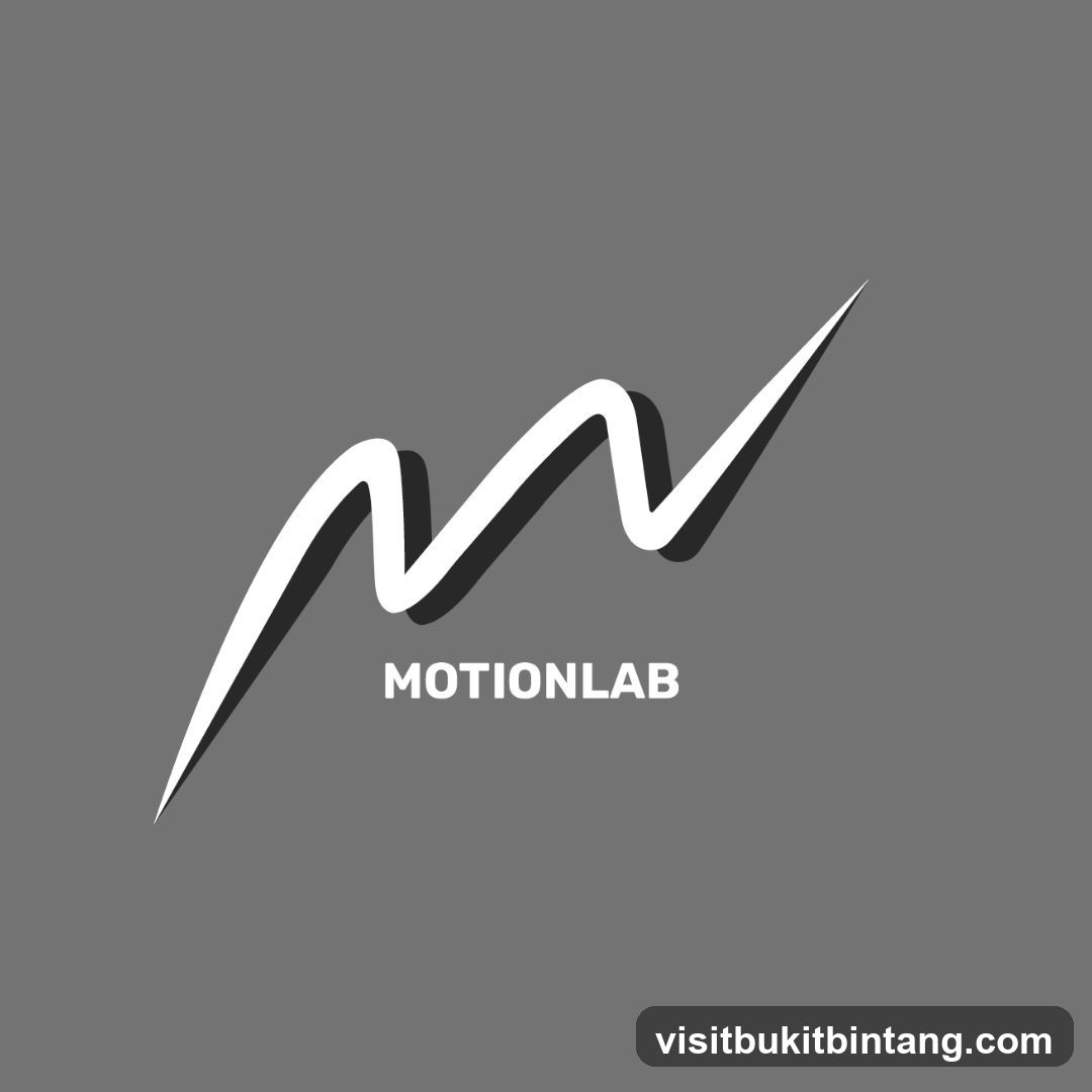 Motion Lab