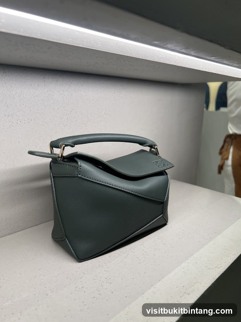 Handbag on Display