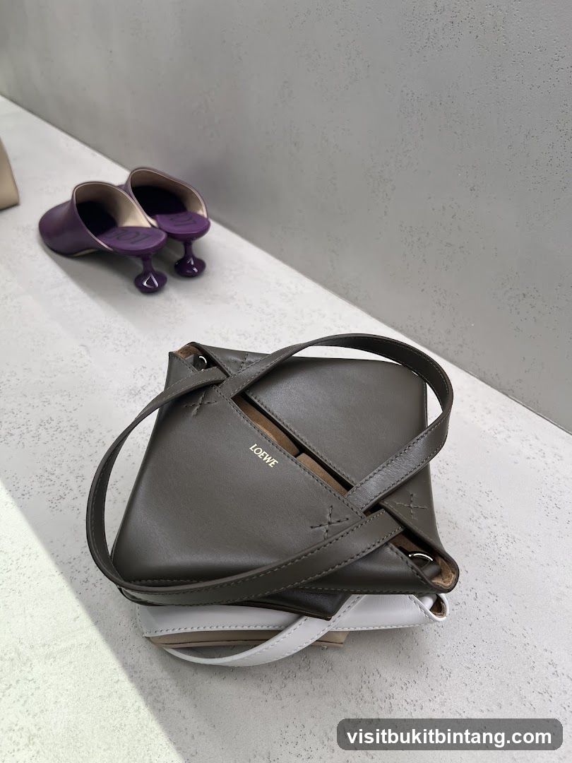 Loewe Handbag and Mules