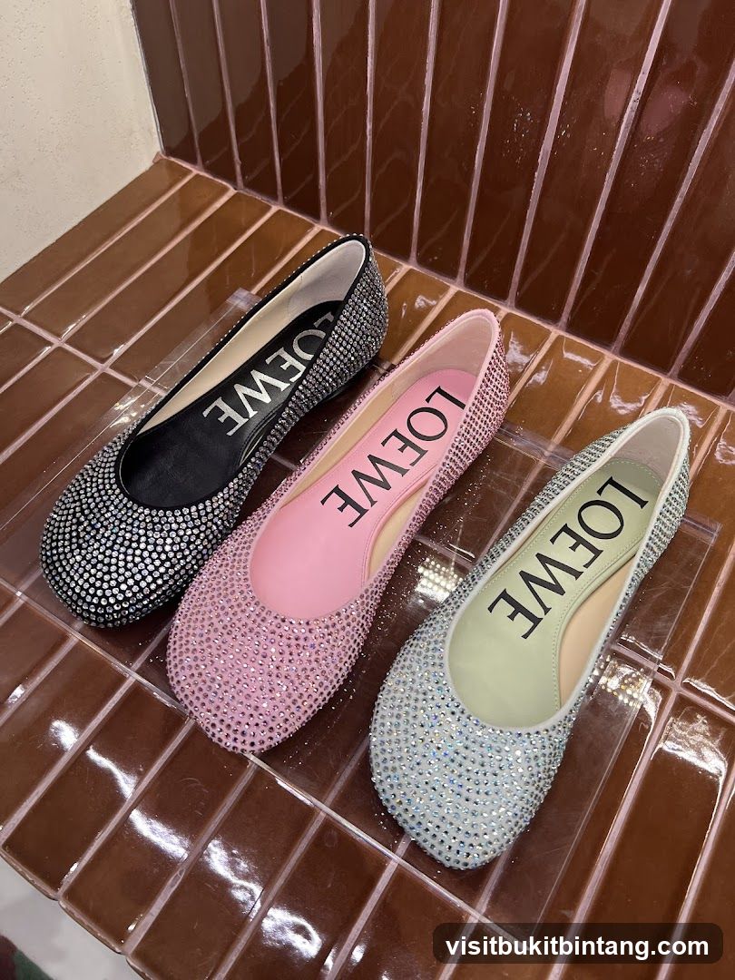 Loewe Ballet Flats