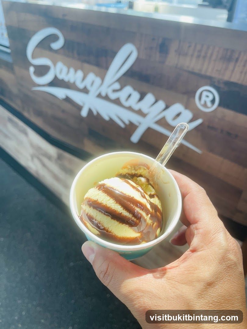 Ice Cream with Chocolate Drizzle