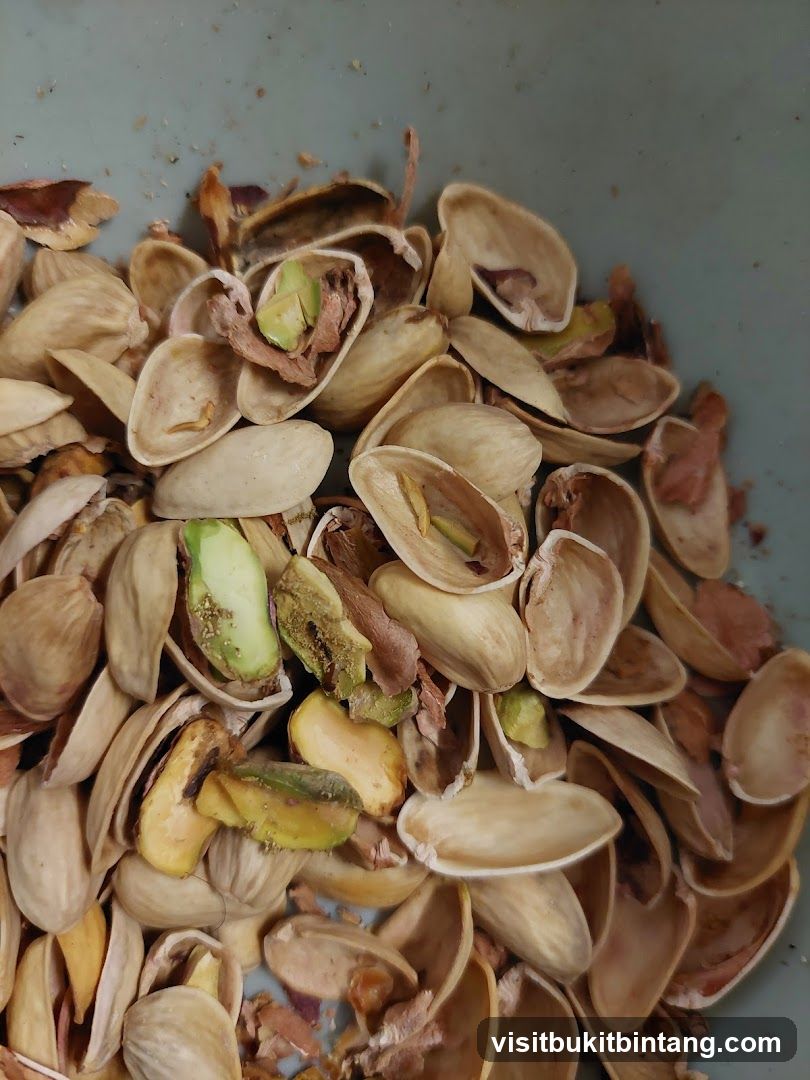 Pistachio Shells