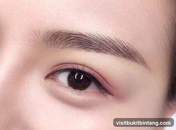 SK Beauty Eyebrow Embroidery