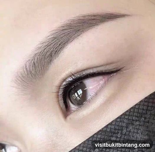 SK Beauty Eyebrow Embroidery