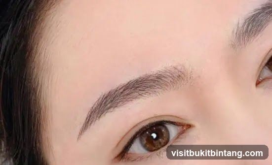 SK Beauty Eyebrow Embroidery