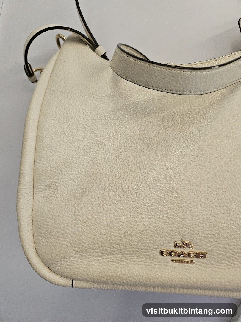 Coach handbag