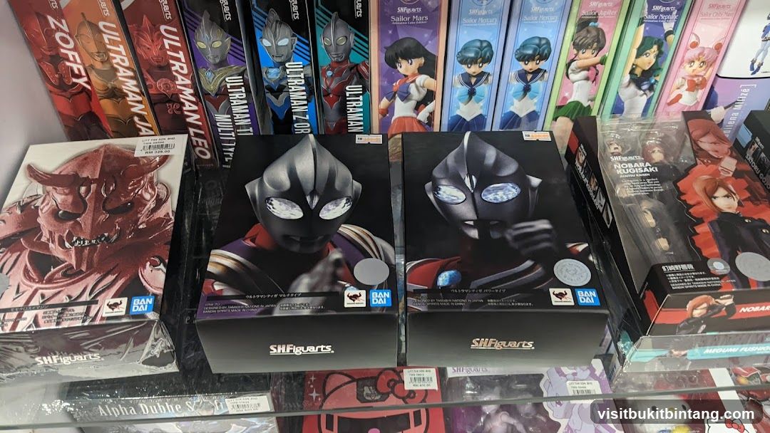 Action Figures Display
