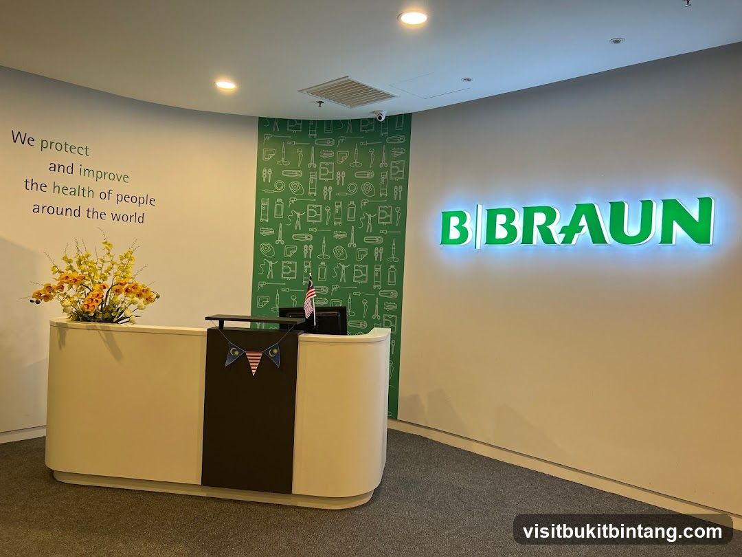 B. Braun Medical Supplies Sdn Bhd