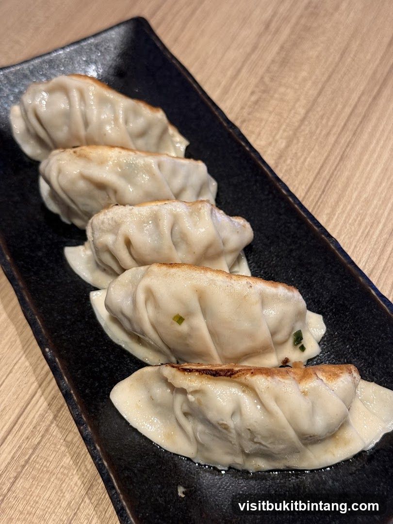 Pan-fried dumplings