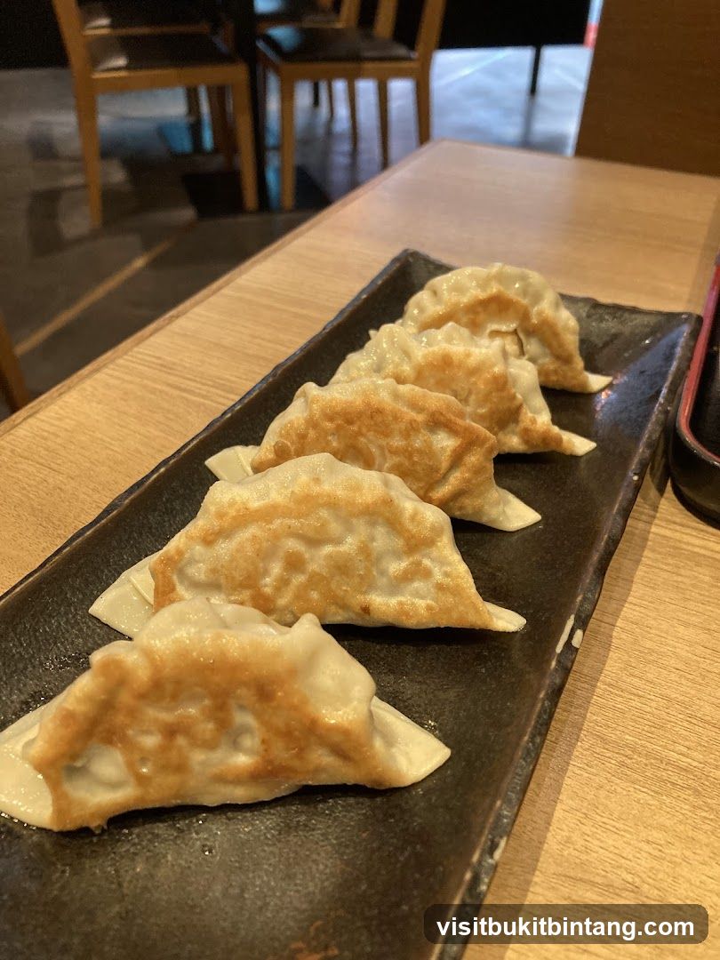 Gyoza on a plate
