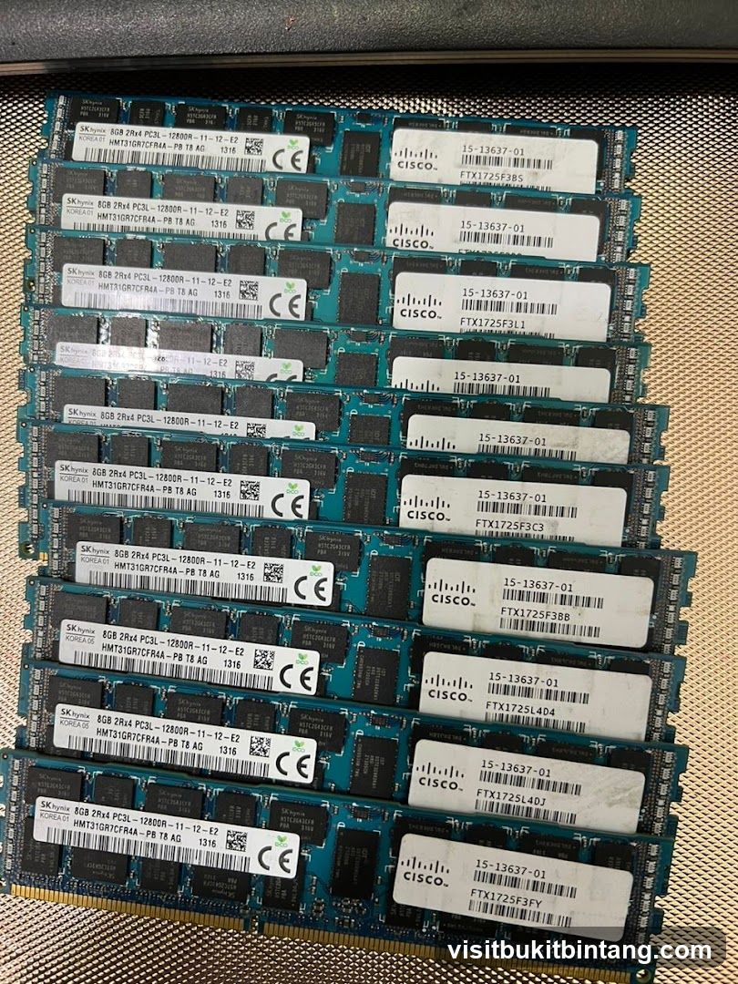 Computer RAM Modules