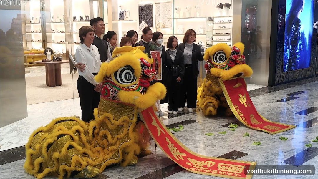 Lion Dance Performance