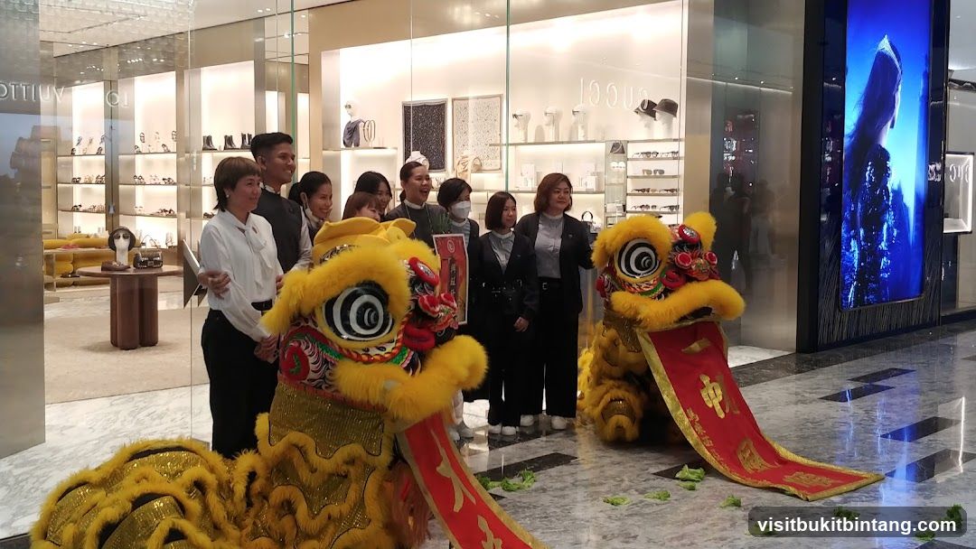 Lion Dance Performance
