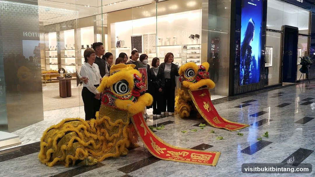 Lion Dance Performance