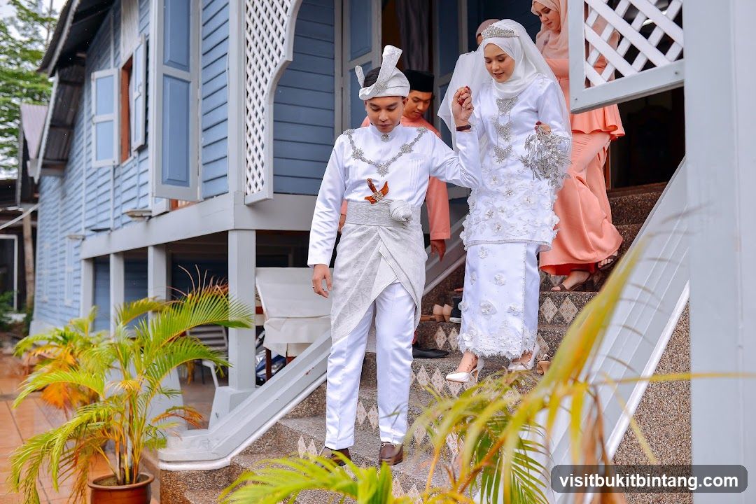 Wedding Procession Down Stairs