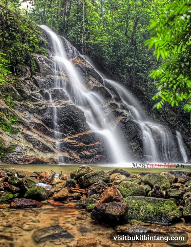 Waterfall in a Forest