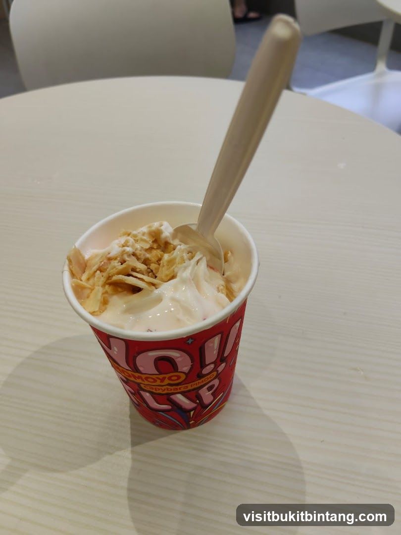 Momoyo @ Atria Shopping Gallery