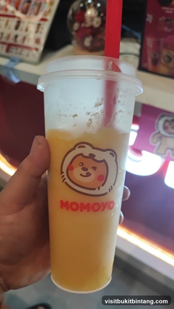 Momoyo @ Atria Shopping Gallery