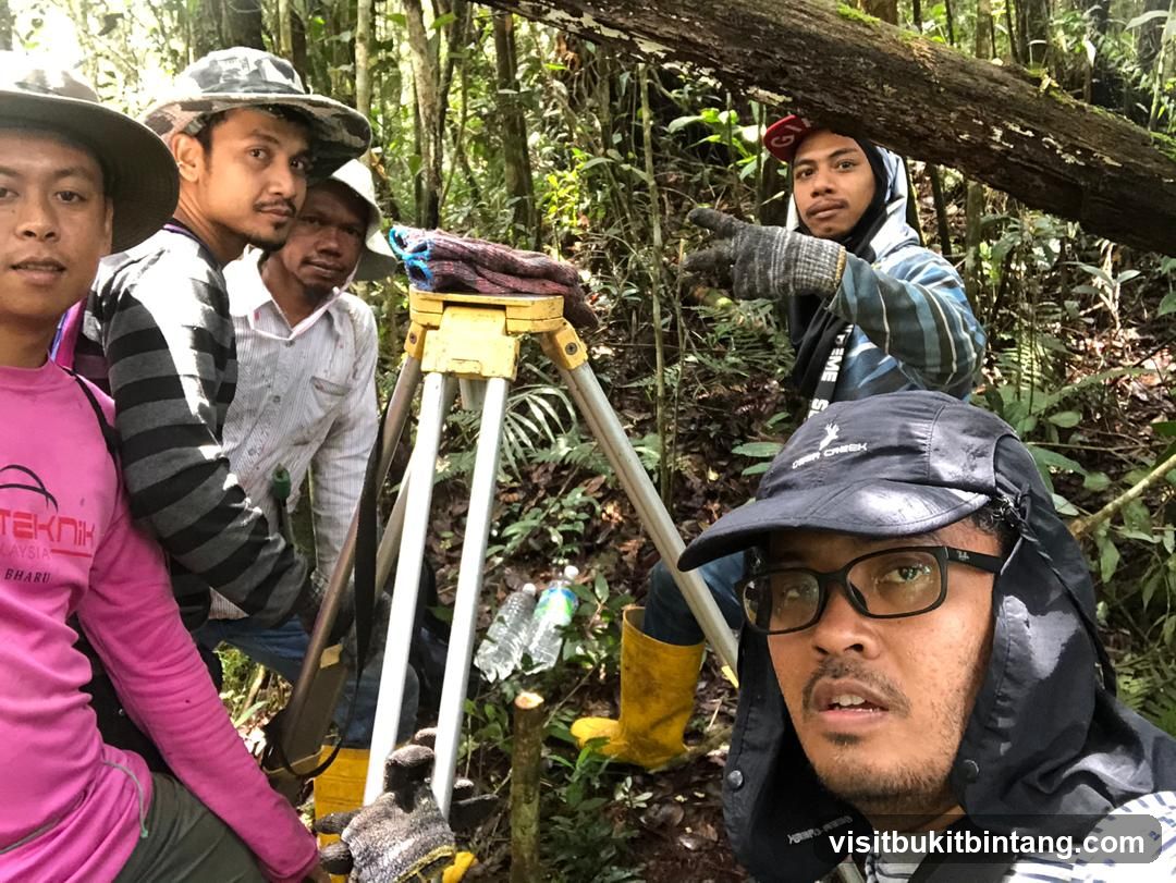Surveyors in Forest
