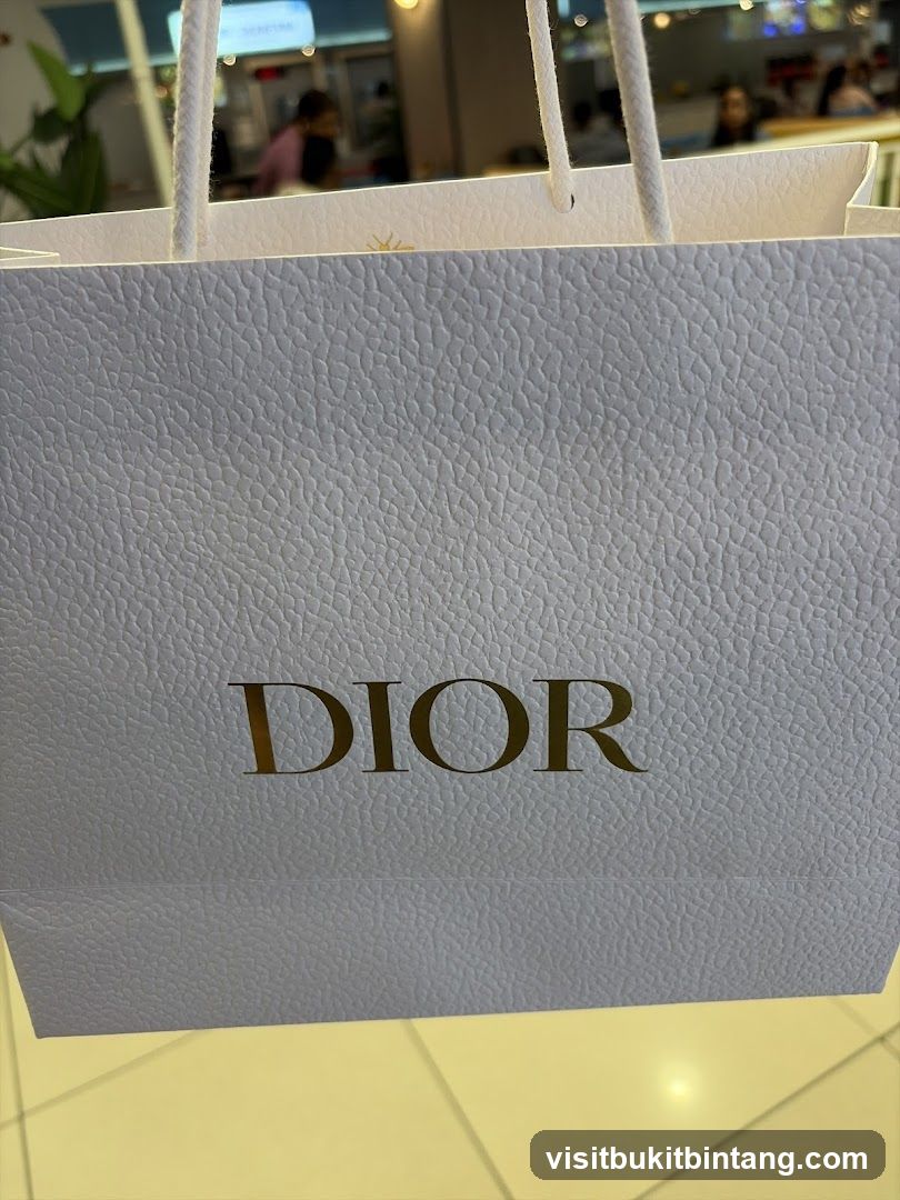 Dior Shopping Bag