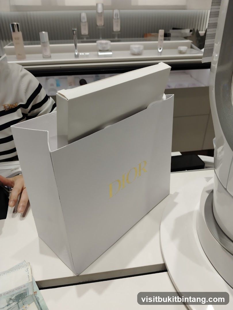 Dior Shopping Bag