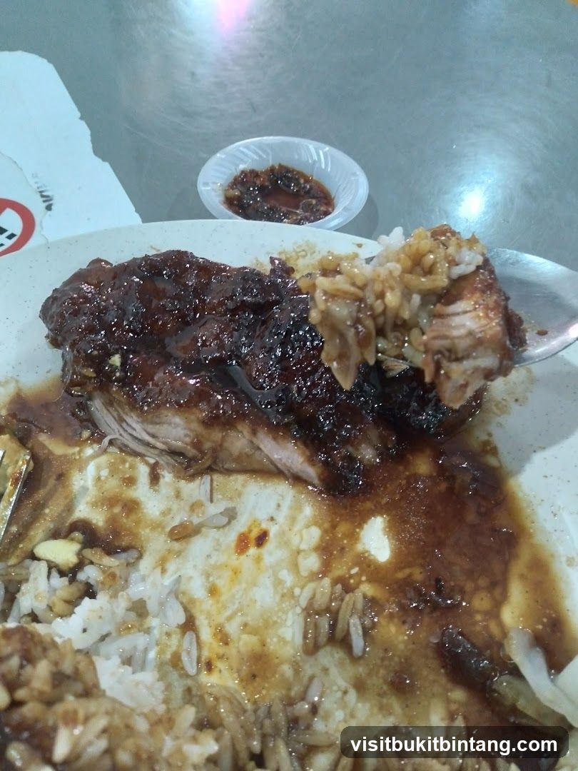 Close-up of a plate of food with rice and meat