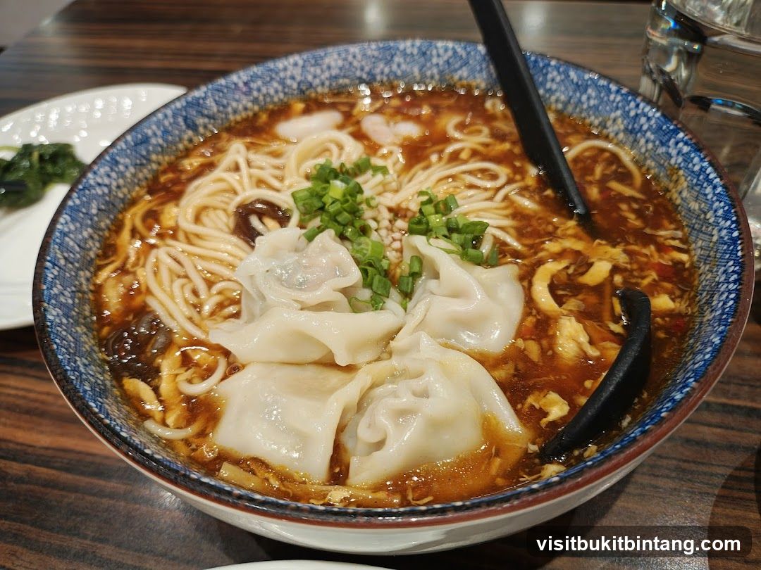 Noodle Soup with Dumplings