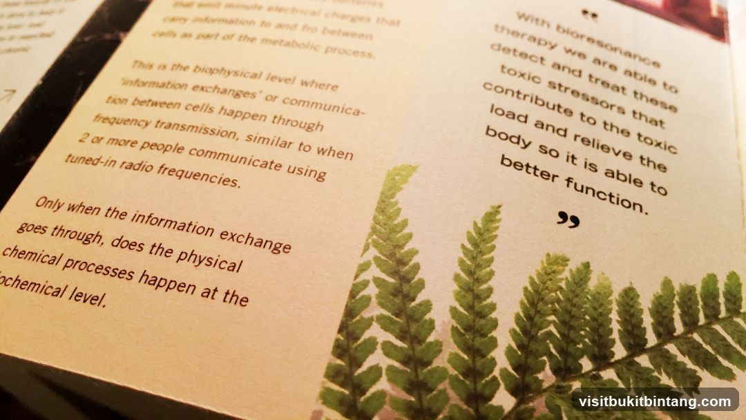 Text about biophysical level and bioresonance therapy