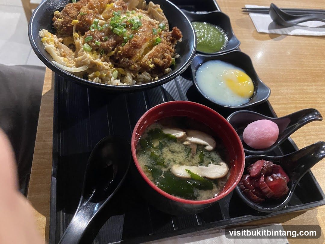 Katsu Don Set
