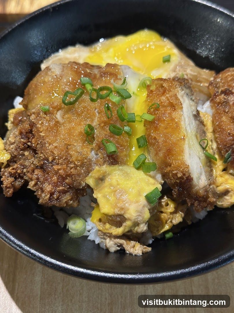 Katsudon